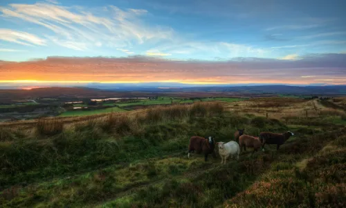 wild camping ireland