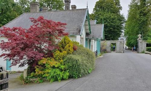 Castlewellan Forest Park